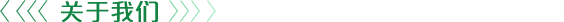 公司简介